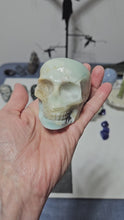 Load and play video in Gallery viewer, Caribbean Calcite Skull
