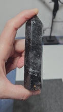 Load and play video in Gallery viewer, Tourmalated Quartz Point
