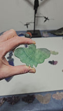 Load and play video in Gallery viewer, Green Fluorite Moth
