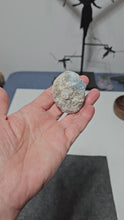 Load and play video in Gallery viewer, Celestite Cluster
