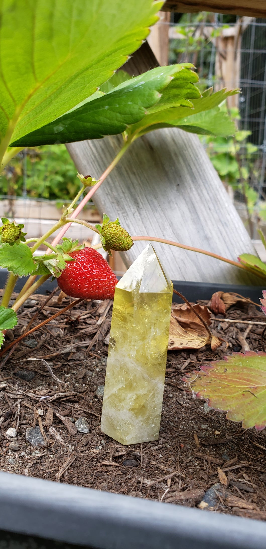 Lemon Quartz Point