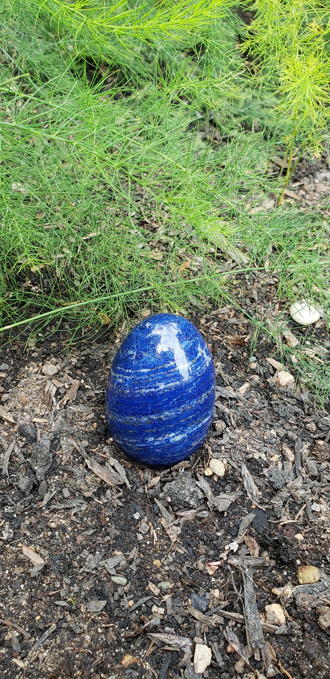 Lapis Lazuli Egg