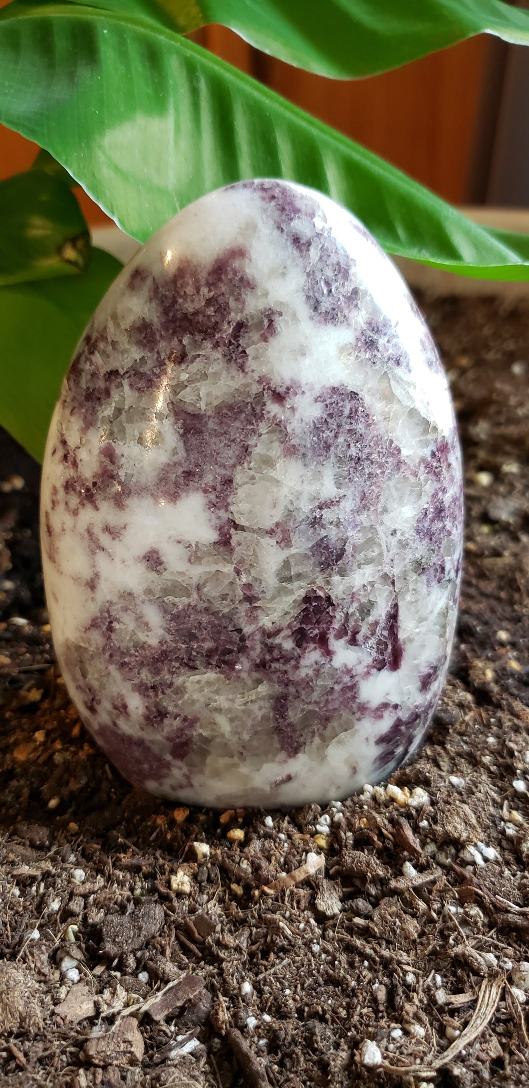 Lepidolite Free Form