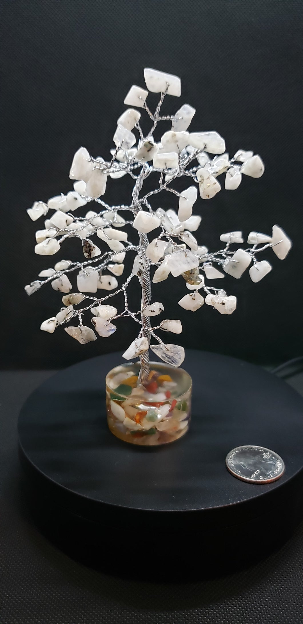 Rainbow Moonstone Gem Trees