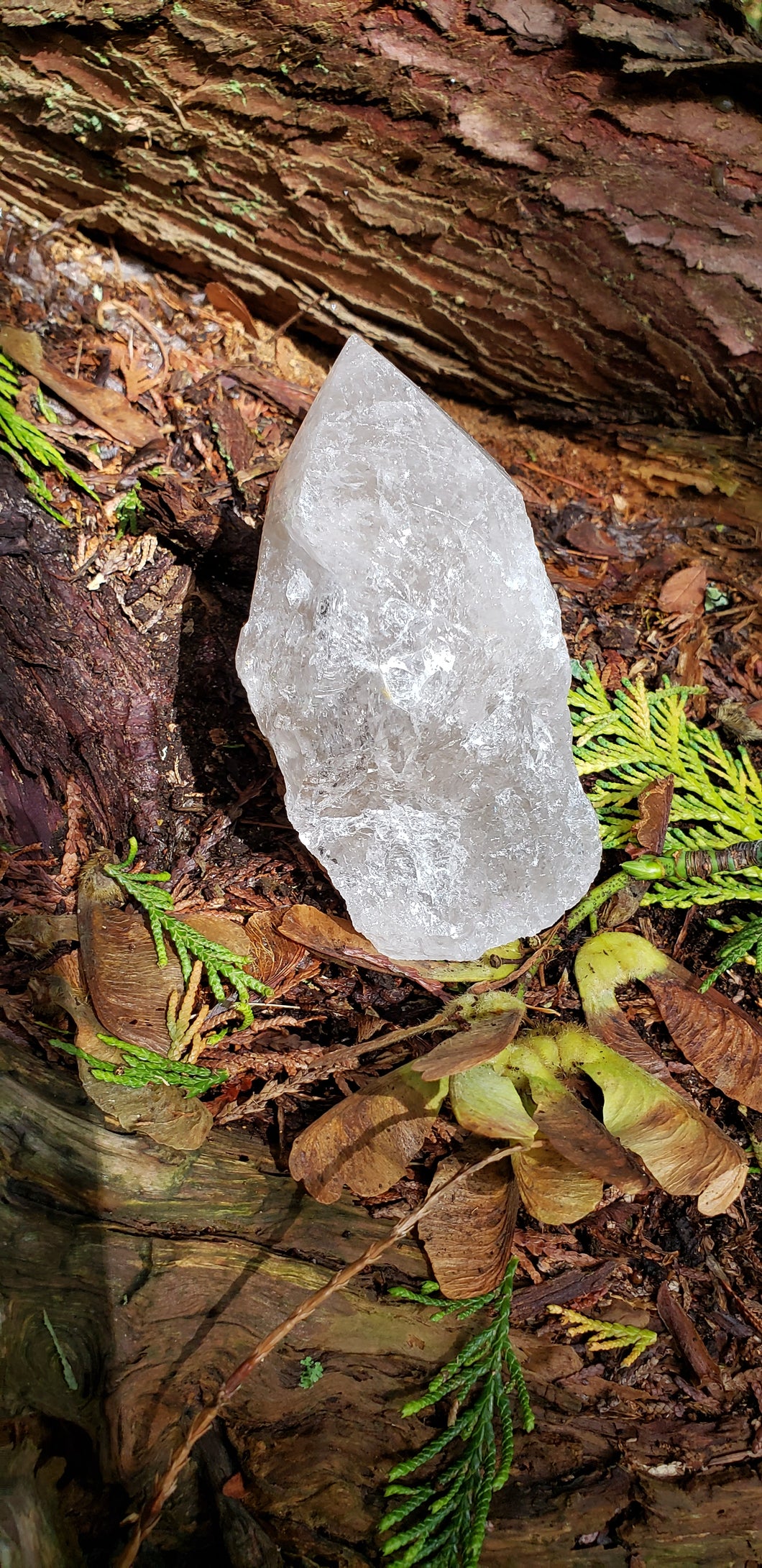 Clear Quartz Point