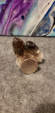 Load image into Gallery viewer, Smoky Quartz Cluster
