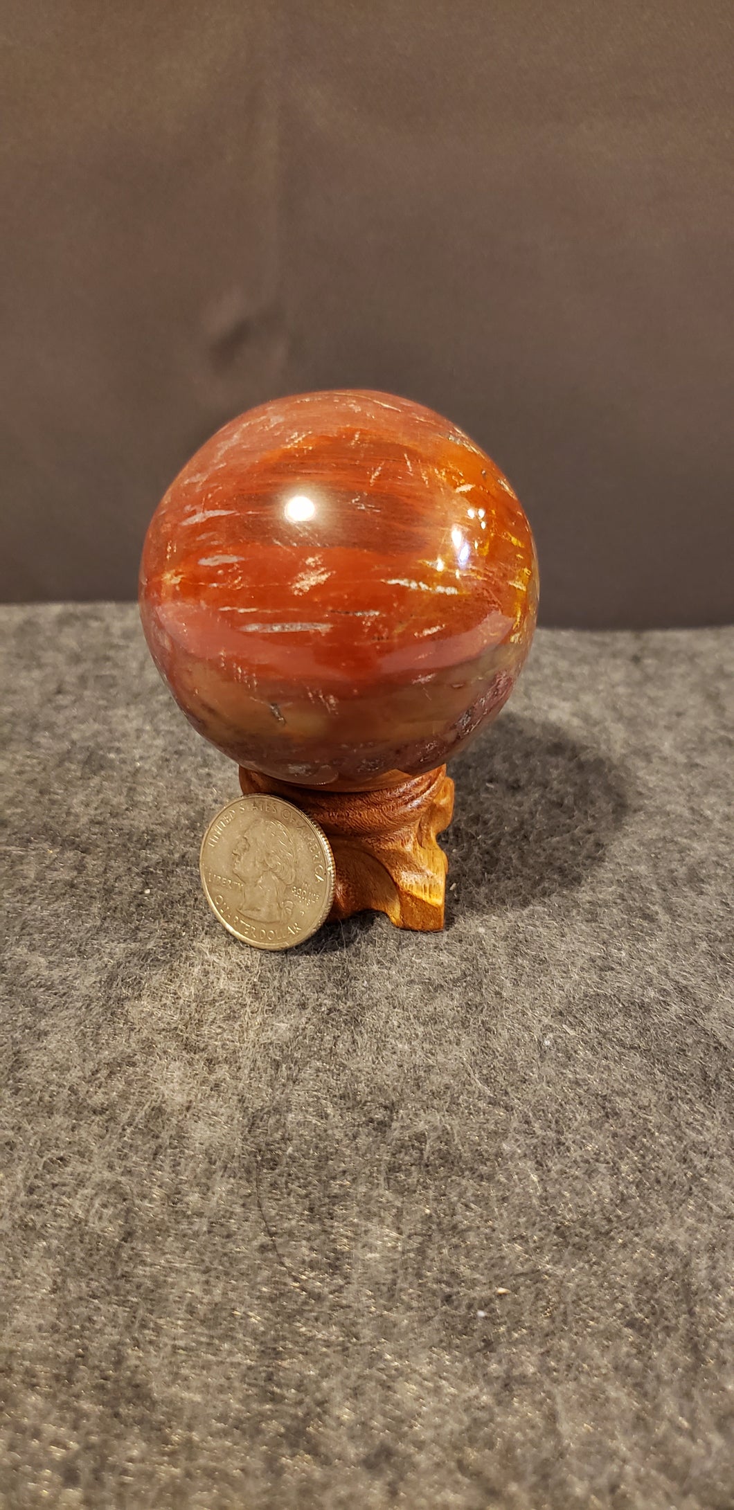 Petrified Wood Sphere