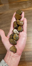 Load image into Gallery viewer, Bronzite Tumble Stones
