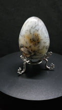 Load and play video in Gallery viewer, Dendritic Agate Egg
